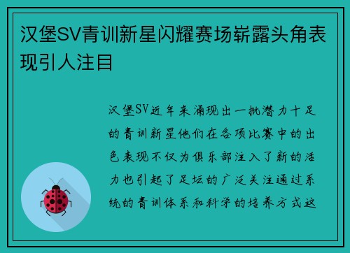 汉堡SV青训新星闪耀赛场崭露头角表现引人注目